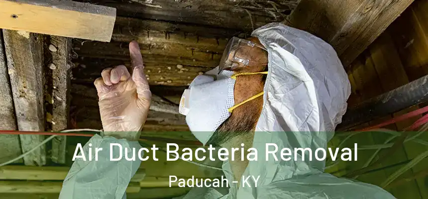 Air Duct Bacteria Removal Paducah - KY