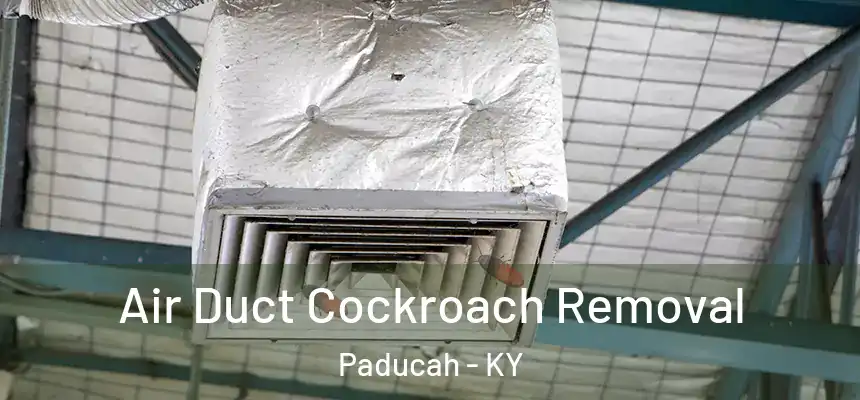  Air Duct Cockroach Removal Paducah - KY