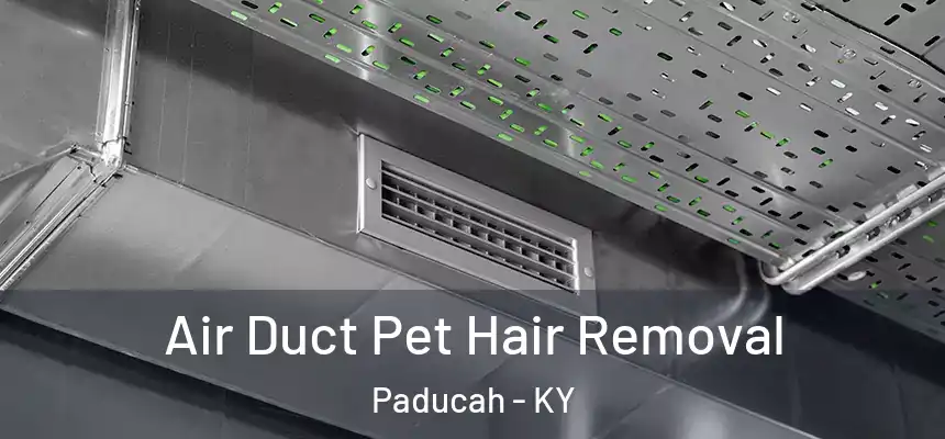 Air Duct Pet Hair Removal Paducah - KY