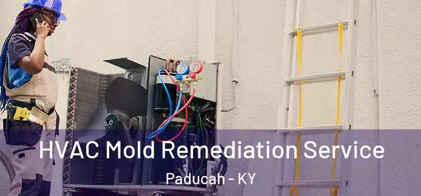 HVAC Mold Remediation Service Paducah - KY