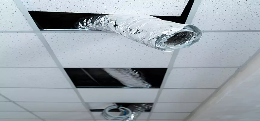 Our Air Duct Pet Hair Removal Services in Paducah, KY