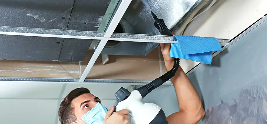 Our Air Duct Rodent Removal Services in Paducah, KY