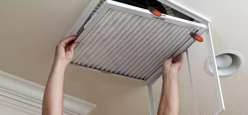 Our Insect Removal from Air Ducts Services in Paducah, KY