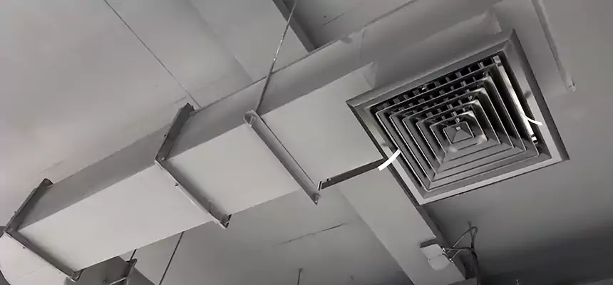 Our Pest Removal From Ducts Services in Paducah, KY