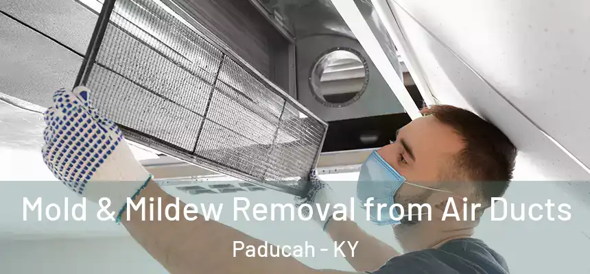  Mold & Mildew Removal from Air Ducts Paducah - KY