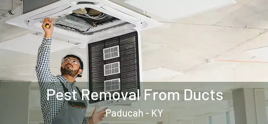  Pest Removal From Ducts Paducah - KY
