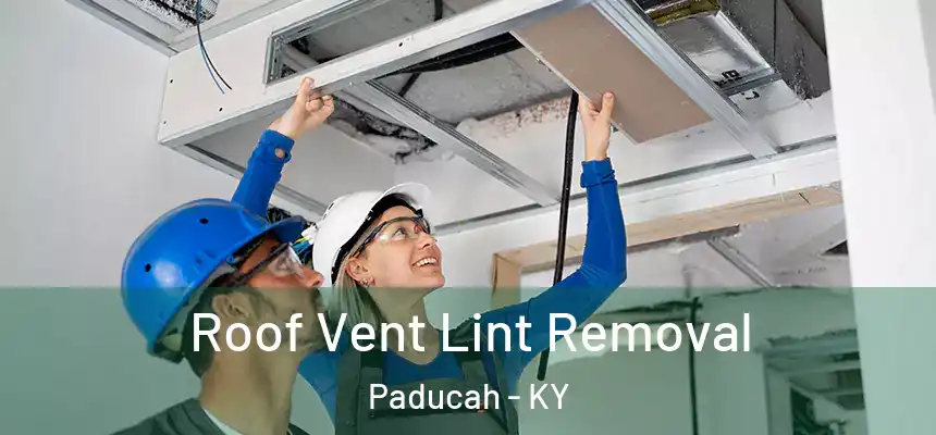 Roof Vent Lint Removal Paducah - KY