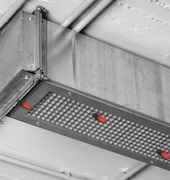 About Air Duct Cockroach Removal in Paducah, KY