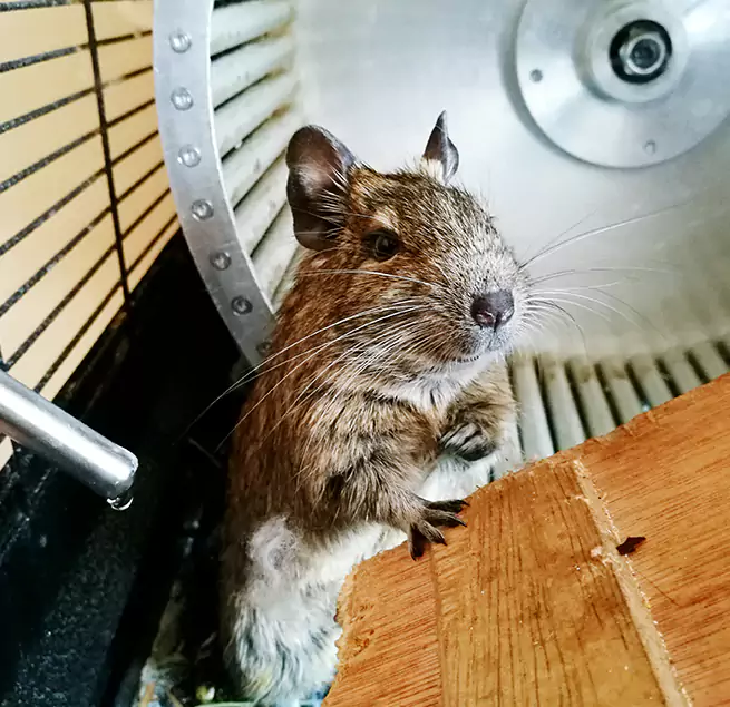 Why Homeowners & Businesses Trust Us Paducah, KY?