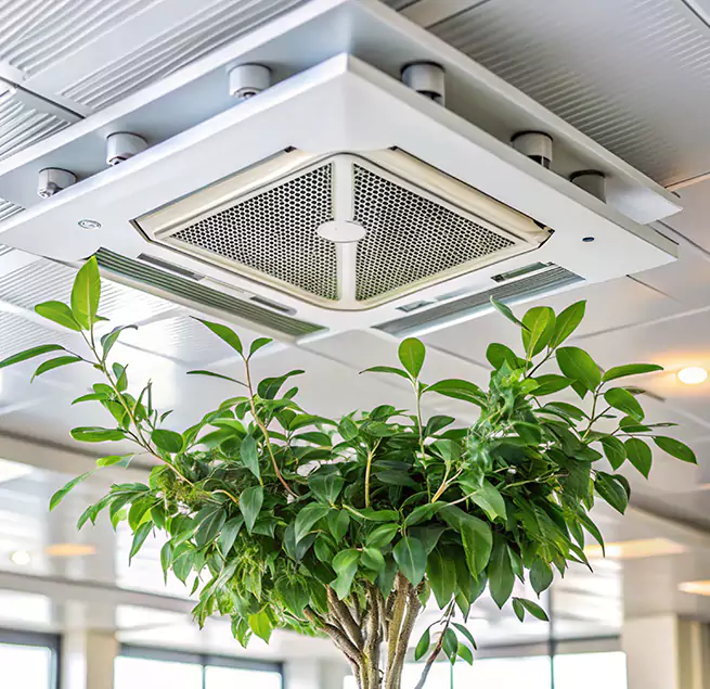 Why Homeowners & Businesses Trust Us in Paducah, KY