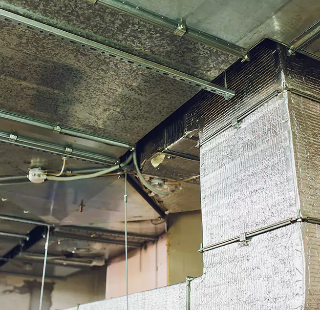 Why Homeowners & Businesses Trust Us in Paducah, KY?